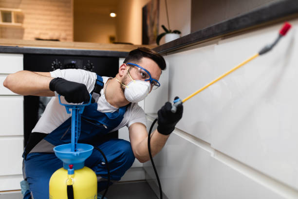Best Insect Control  in Quartz Hill, CA