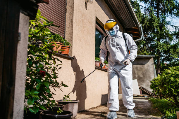 Best Affordable Pest Control Services  in Quartz Hill, CA