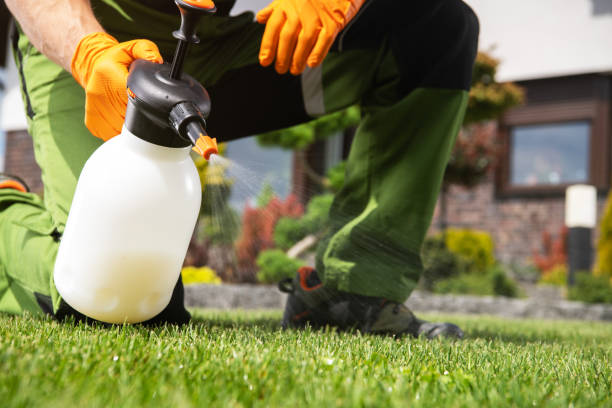 Best Best Pest Control Companies  in Quartz Hill, CA