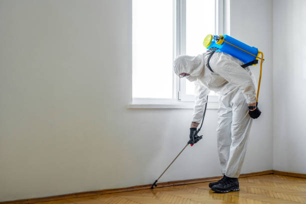 Best Exterminator Services  in Quartz Hill, CA