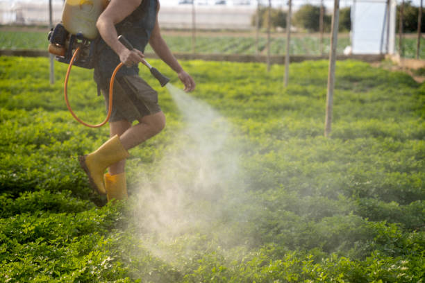 Best Affordable Pest Control Services  in Quartz Hill, CA