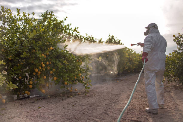 Best Mosquito Control Services  in Quartz Hill, CA