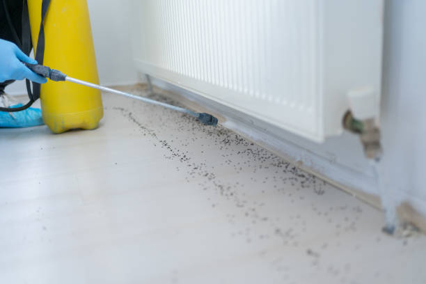  Quartz Hill, CA Pest Control Pros