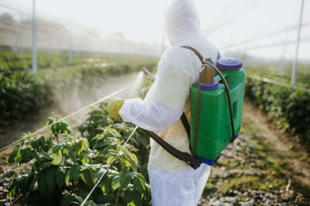 Reliable Quartz Hill, CA Pest Control Solutions